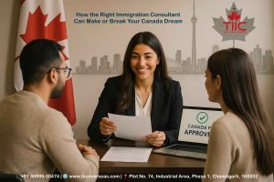 How the Right Immigration Consultant Can Make or Break Your Canada Dream - TIIC